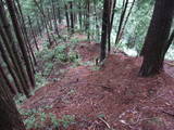 飛騨 鍋山城の写真