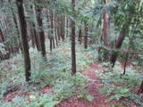 飛騨 鍋山城の写真