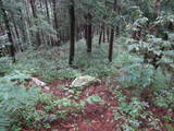 飛騨 鍋山城の写真