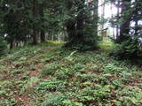 飛騨 鍋山城の写真