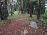 飛騨 鍋山城の写真