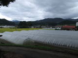 飛騨 鍋山城の写真