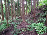 飛騨 野口城の写真