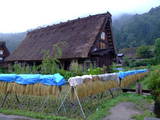 飛騨 荻町城の写真