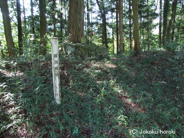 飛騨 桜洞城の写真