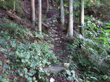 飛騨 桜洞城の写真
