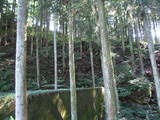 飛騨 桜洞城の写真