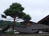 飛騨 高山陣屋の写真