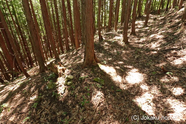 飛騨 寺洞砦Iの写真