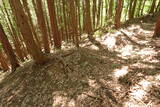 飛騨 寺洞砦Iの写真