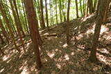 飛騨 寺洞砦Iの写真