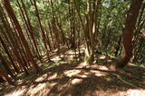 飛騨 寺洞砦IVの写真