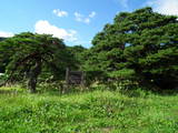 飛騨 山下城居館の写真