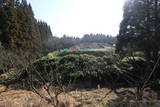 肥後 愛藤寺城の写真