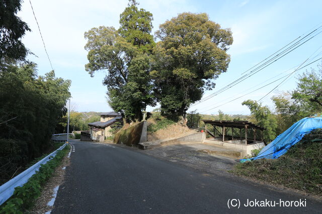 肥後 赤水城の写真