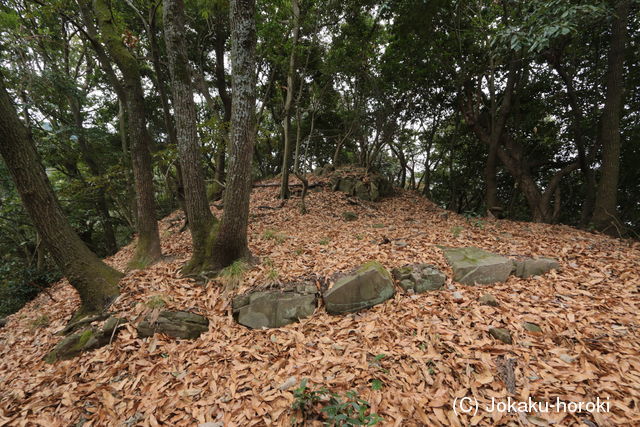 肥後 古麓城(鷹峰城)の写真