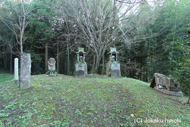 肥後 古池城の写真