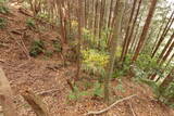 肥後 白山城の写真