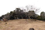 肥後 白山城の写真
