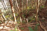 肥後 白山城の写真