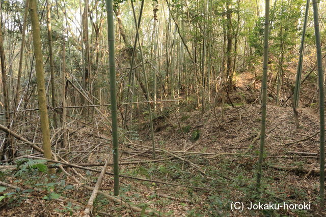 肥後 日嶽城(亀城)の写真