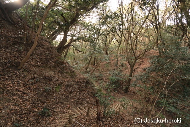 肥後 日嶽城(鶴城)の写真