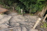 肥後 日嶽城(鶴城)の写真