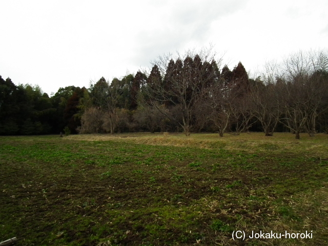 肥後 平山城の写真