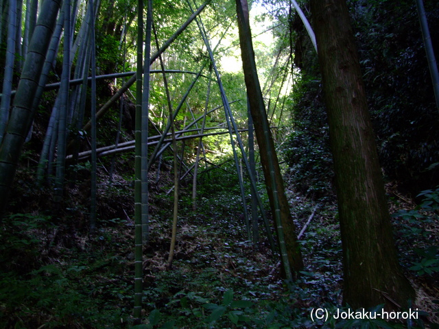 肥後 日渡城の写真