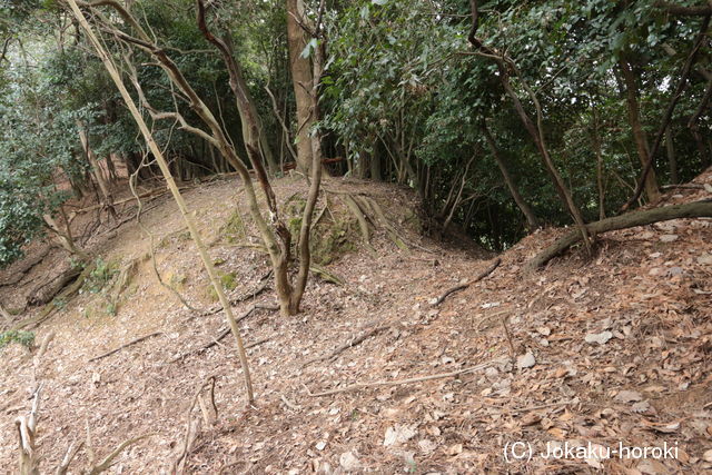 肥後 飯盛山城の写真