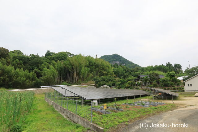 肥後 稲佐城の写真