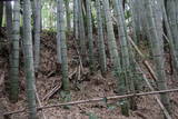 肥後 石坂城の写真