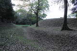 肥後 亀尾城の写真