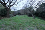 肥後 亀尾城の写真
