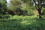肥後 木原小城の写真