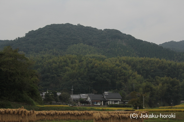 肥後 小原城の写真