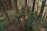 肥後 米山城の写真