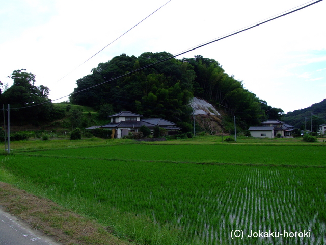 肥後 上津浦城(西の城)の写真