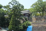 肥後 熊本城の写真