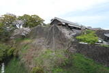 肥後 熊本城の写真