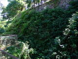 肥後 熊本古城の写真