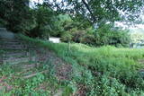 肥後 久玉城の写真