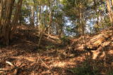 肥後 前岳城の写真