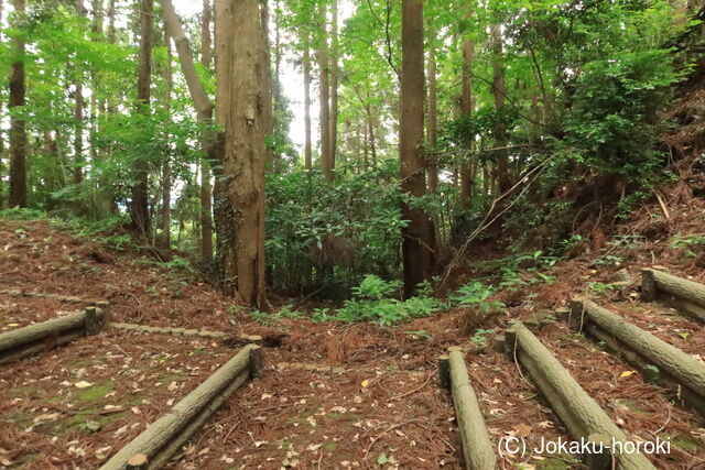 肥後 米野山城の写真