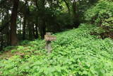 肥後 米野山城の写真