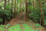 肥後 米野山城の写真