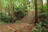 肥後 米野山城の写真