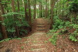 肥後 米野山城の写真