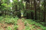 肥後 米野山城の写真