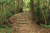 肥後 米野山城の写真